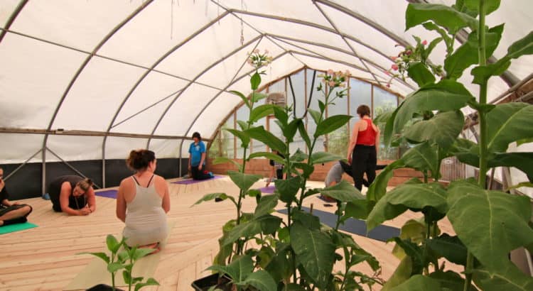 Vinyasa Yoga for Youth