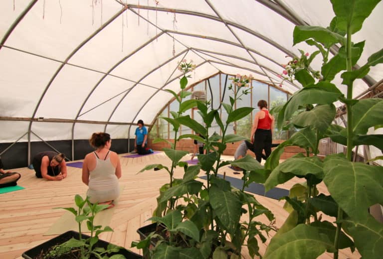 Vinyasa Yoga for Youth